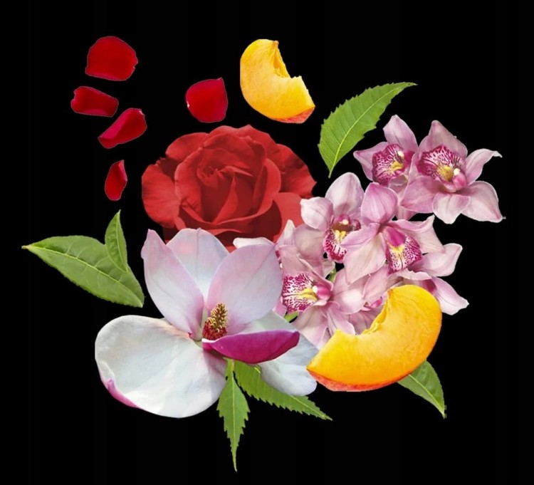 Compagnia Delle Indie Żel pod prysznic Orchidea i Drzewo Cedrowe 250 ml