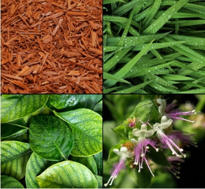 Żel pod prysznic Tesori d'Oriente Vetiver Kashmir Drzewo Sandałowe 250ml